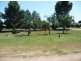 “El Rancho” Blueberry Road, Moree NSW 2400