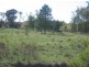“Cocomo”, Crooble NSW 2400