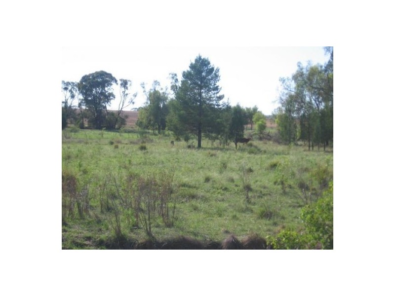 “Cocomo”, Crooble NSW 2400