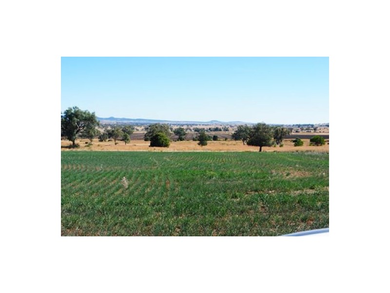 “Hadleigh”, Warialda NSW 2402