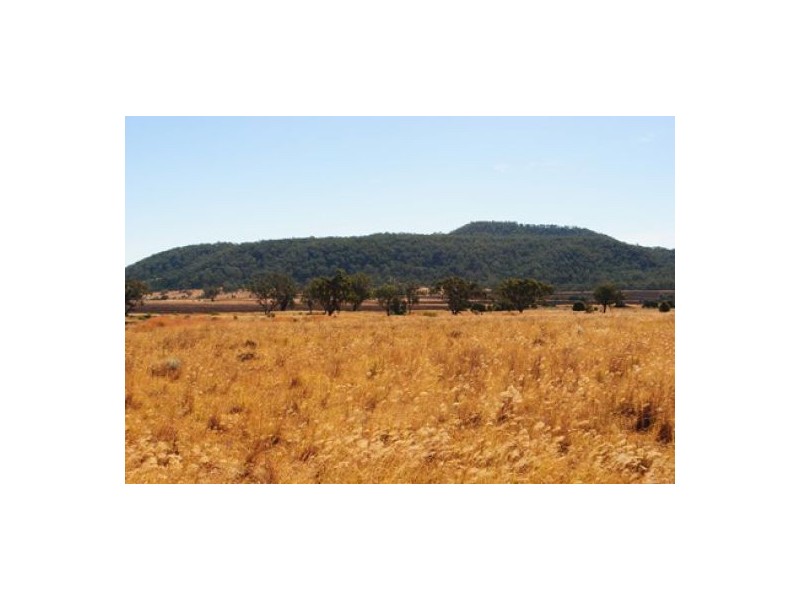 “Hadleigh”, Warialda NSW 2402