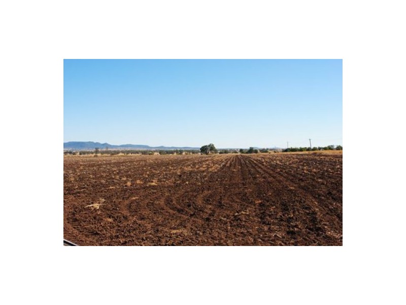 “Hadleigh”, Warialda NSW 2402