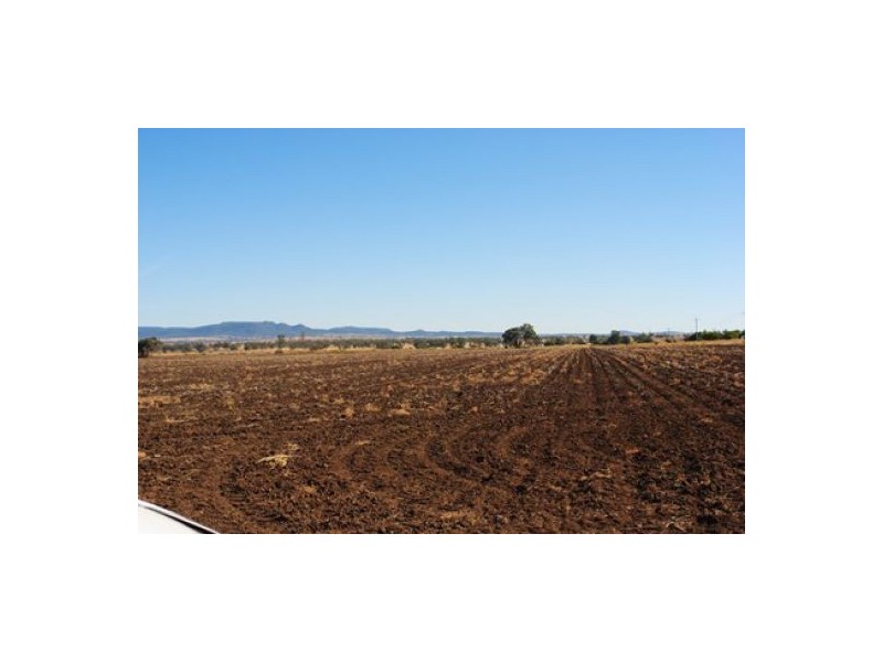 “Hadleigh”, Warialda NSW 2402