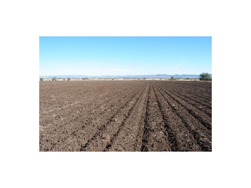 “Hadleigh”, Warialda NSW 2402