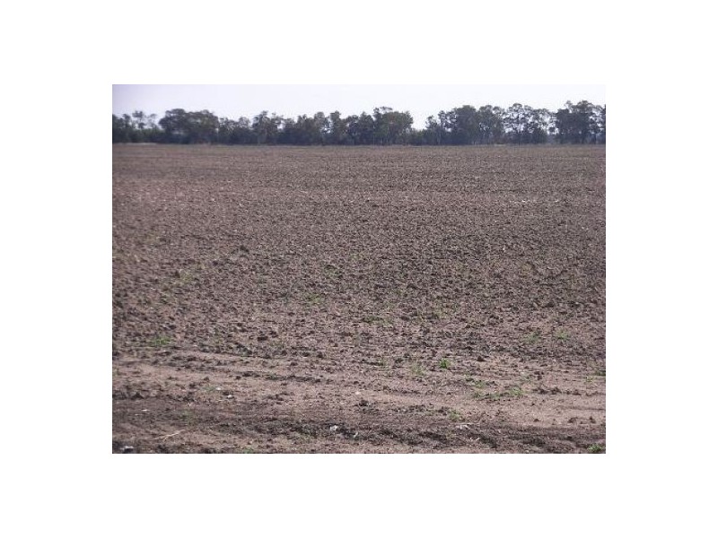 “Euraba”, Garah NSW 2405