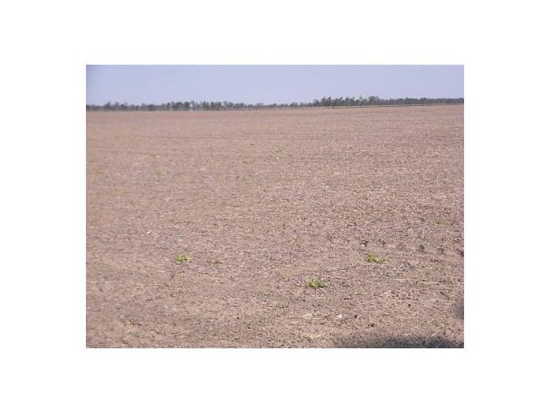 “Euraba”, Garah NSW 2405