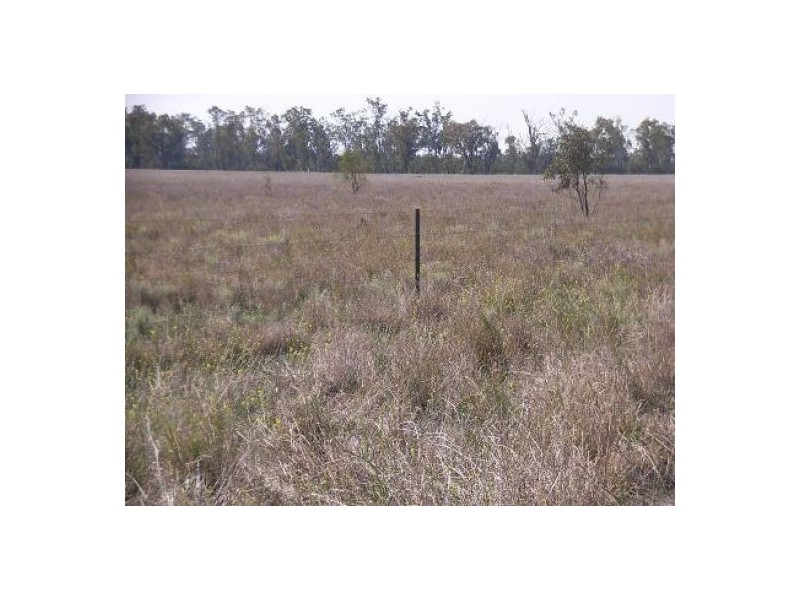 “Euraba”, Garah NSW 2405