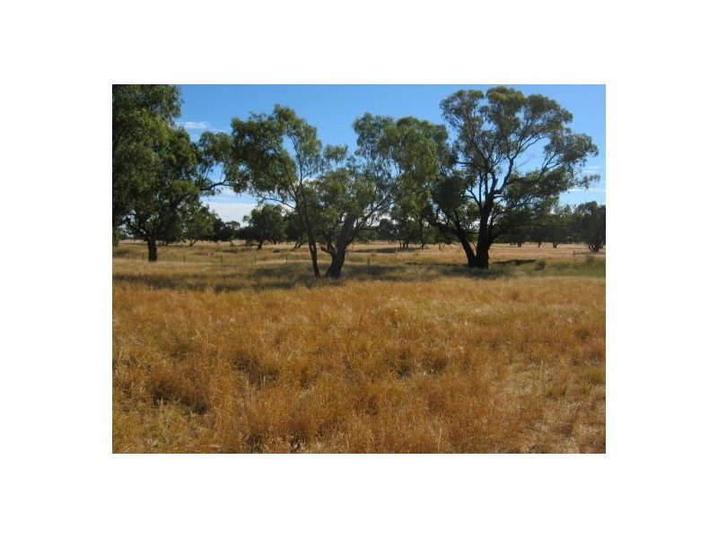 . “Carwell Station”, Quambone NSW 2831