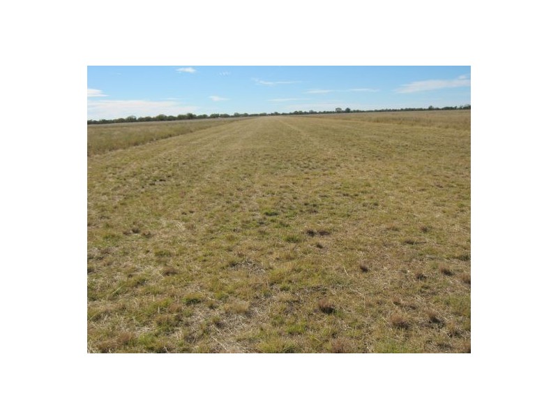 . “Carwell Station”, Quambone NSW 2831