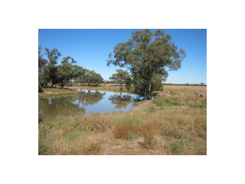 . “Carwell Station”, Quambone NSW 2831