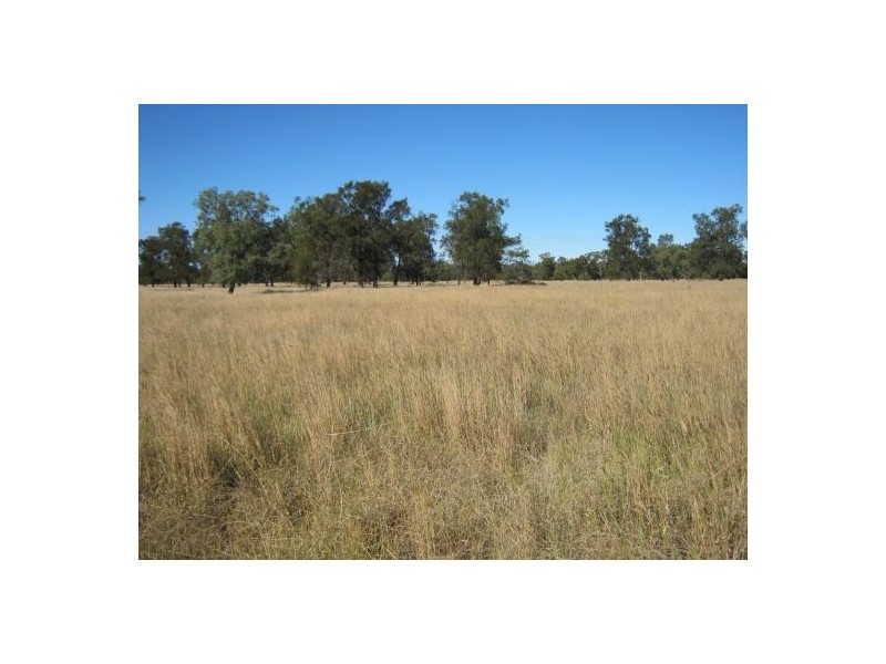 . “Carwell Station”, Quambone NSW 2831