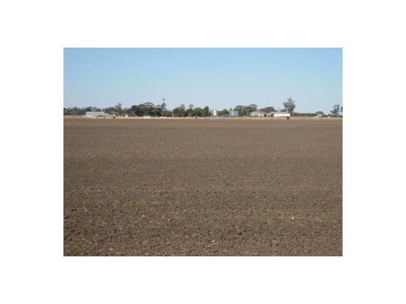“Golonga”, Croppa Creek NSW 2411