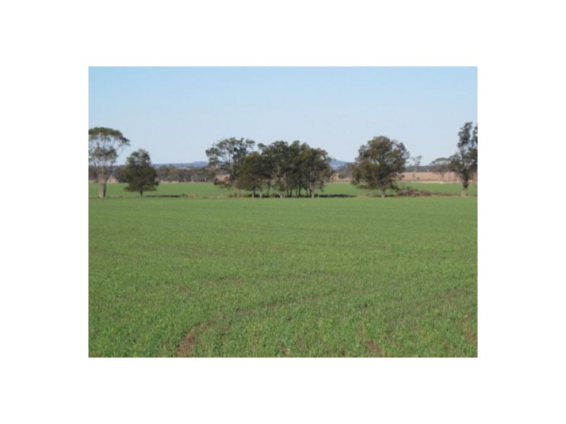 “Golonga”, Croppa Creek NSW 2411