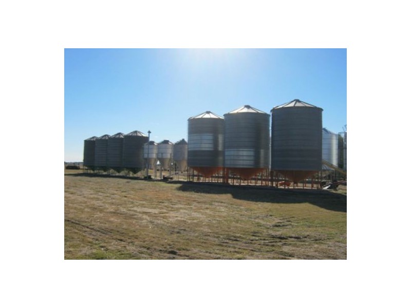 “Golonga”, Croppa Creek NSW 2411