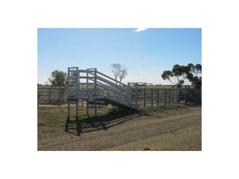 “Golonga”, Croppa Creek NSW 2411