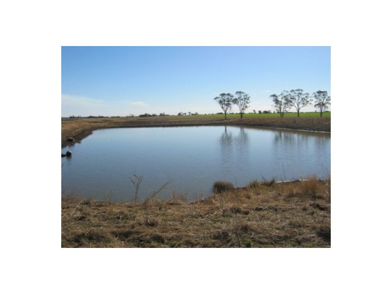 “Golonga”, Croppa Creek NSW 2411