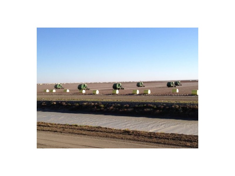 “Ravensworth South”, Hay NSW 2711