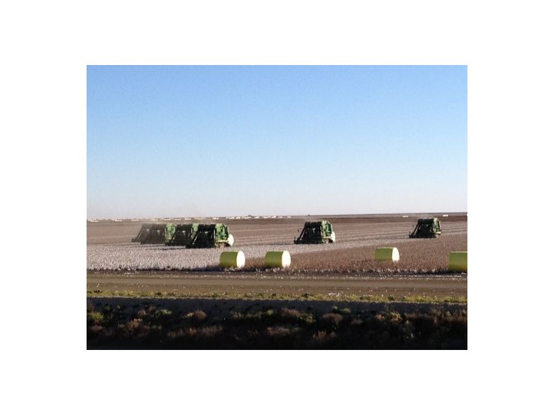 “Ravensworth South”, Hay NSW 2711