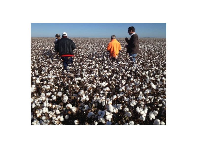 “Ravensworth South”, Hay NSW 2711