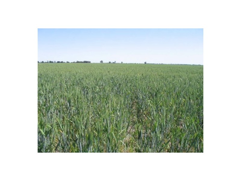 . “Fairfield”, Moree NSW 2400