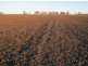 “Barkool & Meralli”, Boggabilla NSW 2409