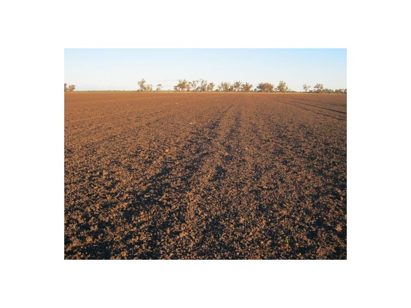 “Barkool & Meralli”, Boggabilla NSW 2409