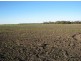 “Barkool & Meralli”, Boggabilla NSW 2409