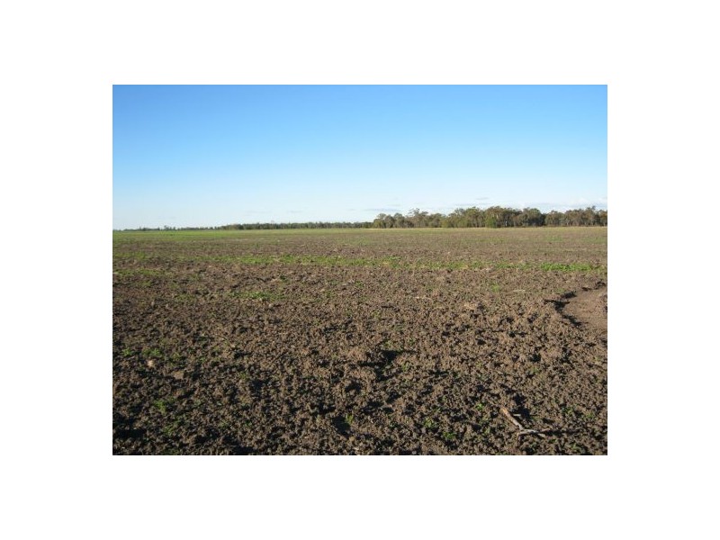 “Barkool & Meralli”, Boggabilla NSW 2409