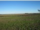 “Barkool & Meralli”, Boggabilla NSW 2409