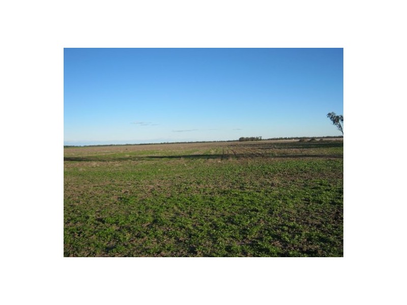 “Barkool & Meralli”, Boggabilla NSW 2409