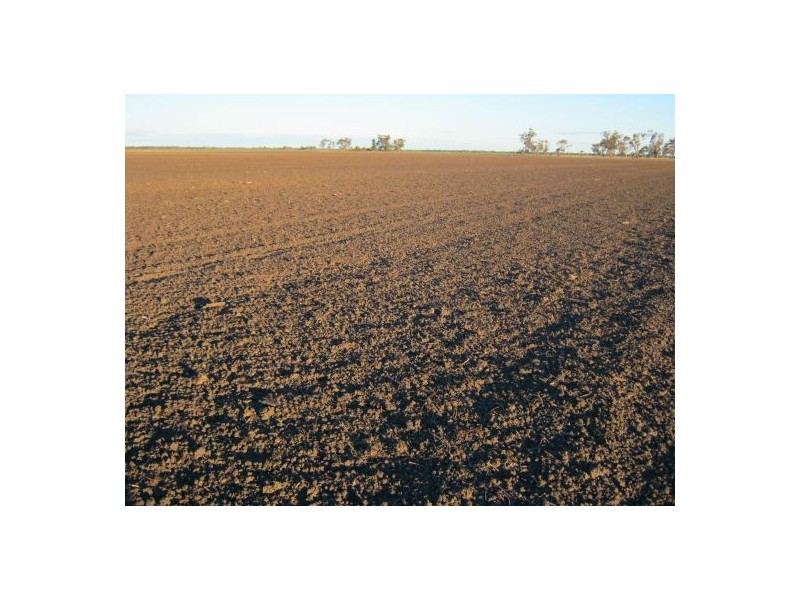 “Barkool & Meralli”, Boggabilla NSW 2409