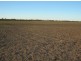 “Barkool & Meralli”, Boggabilla NSW 2409