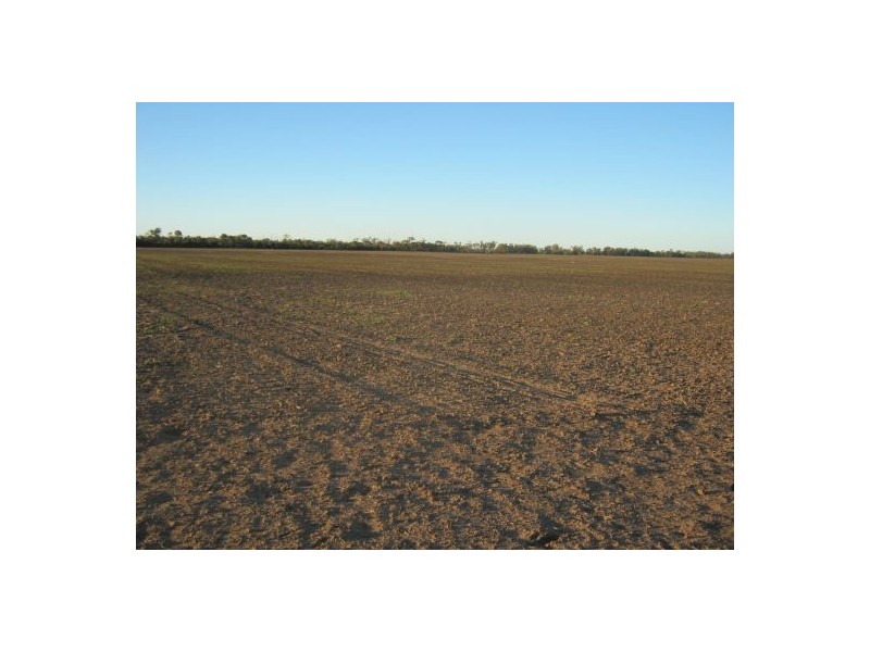 “Barkool & Meralli”, Boggabilla NSW 2409