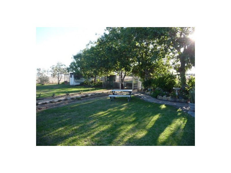 65 Glen Park Road, Moree NSW 2400