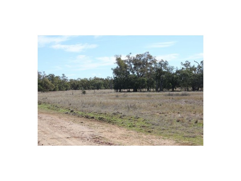 West Ginibri, Thallon QLD 4497