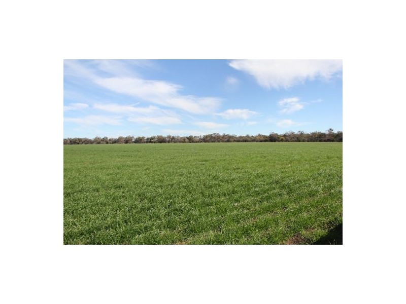 West Ginibri, Thallon QLD 4497