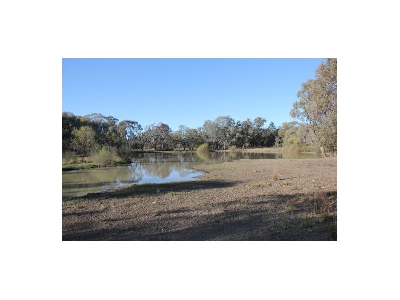 West Ginibri, Thallon QLD 4497