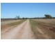 West Ginibri, Thallon QLD 4497