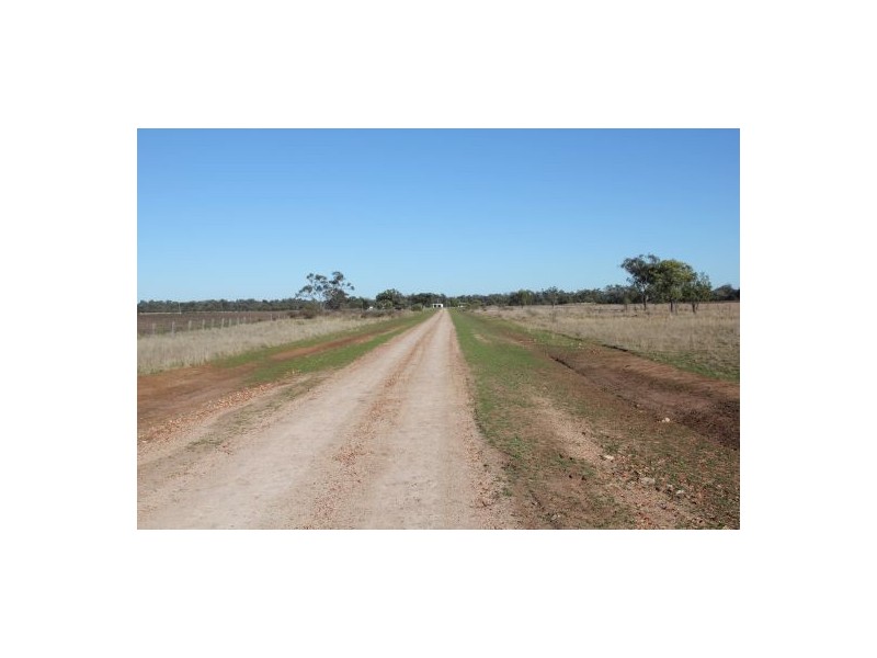 West Ginibri, Thallon QLD 4497