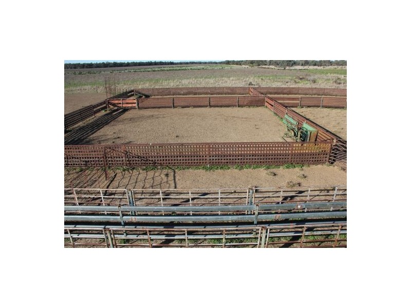 West Ginibri, Thallon QLD 4497