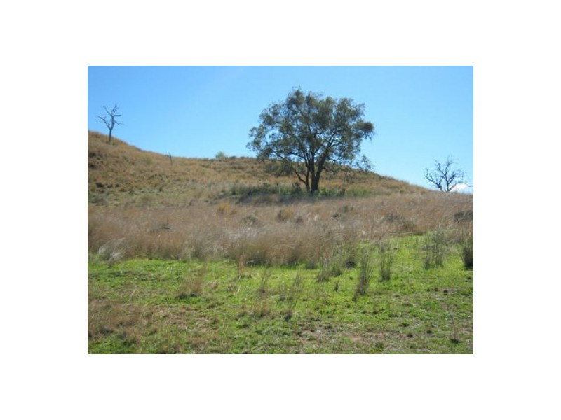 “Morella” & “Glenroy”, Bingara NSW 2404