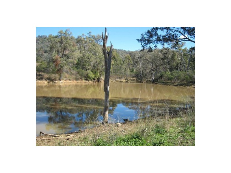 “Morella” & “Glenroy”, Bingara NSW 2404