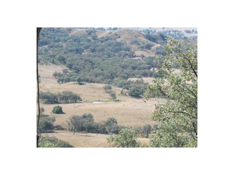 “Morella” & “Glenroy”, Bingara NSW 2404