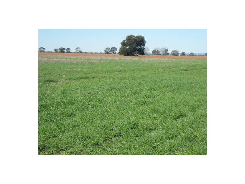 “Greenvale”, Gurley NSW 2398