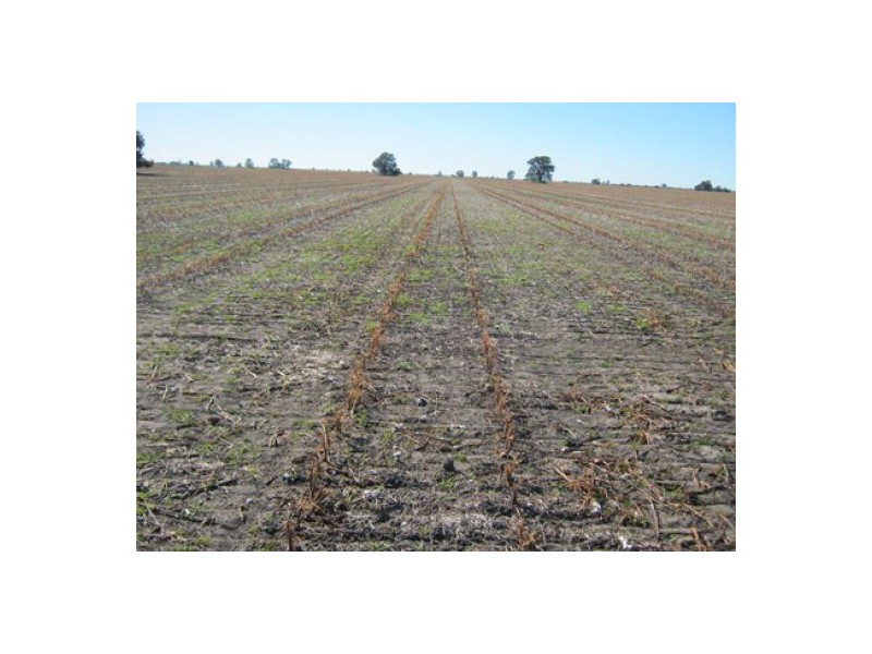 “Greenvale”, Gurley NSW 2398