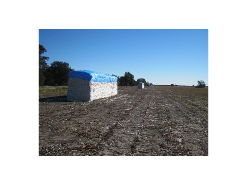 “Greenvale”, Gurley NSW 2398