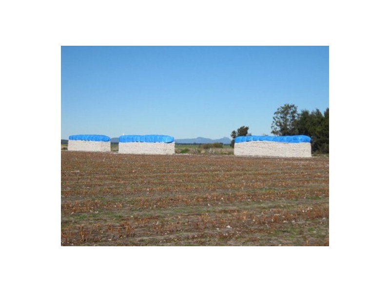 “Greenvale”, Gurley NSW 2398