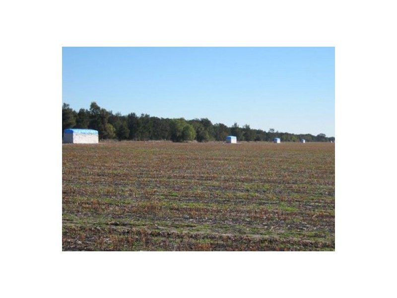 “Greenvale”, Gurley NSW 2398