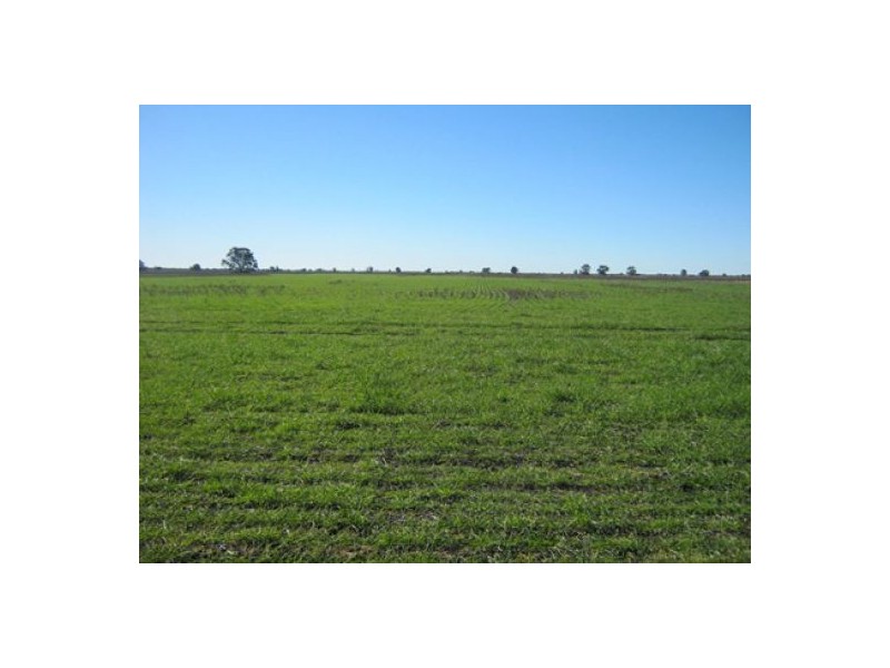 “Greenvale”, Gurley NSW 2398