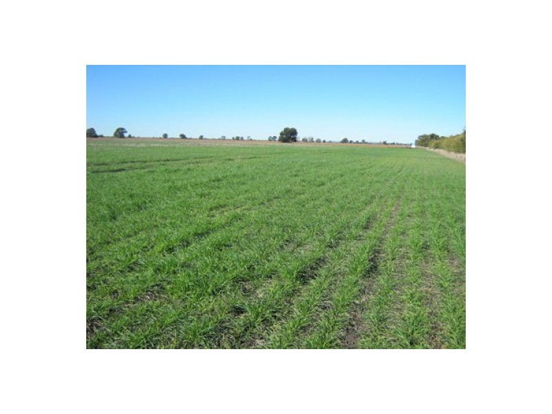 “Greenvale”, Gurley NSW 2398